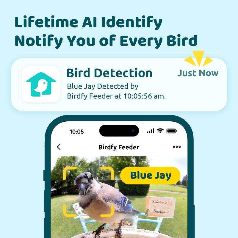 NETVUE by Birdfy AI Smart Bird Feeder with Camera Solar Powered  AI Auto Capture Each Bird Come & Identify 6000+ Bird Species  Cloud Store Bird Videos & Birdwatching On Live  Ideal Gift (Blue) - Image 2